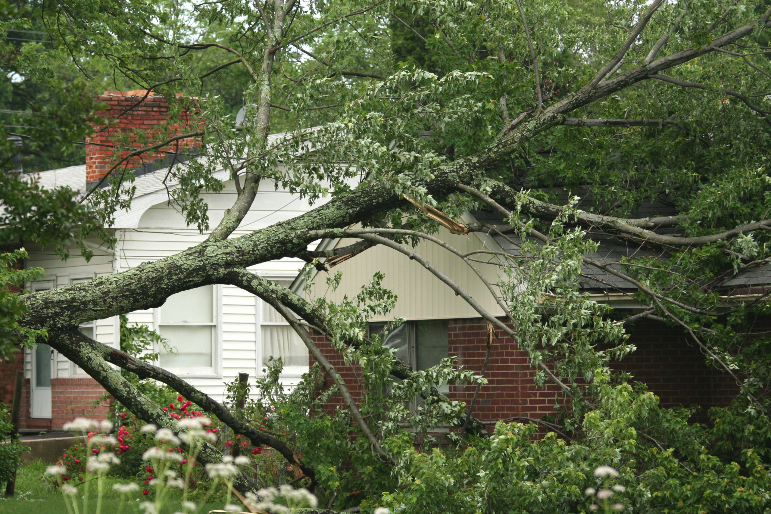 roof storm damage repair montgomery al | roof storm damage repair prattville al | roof storm damage repair millbrook, AL